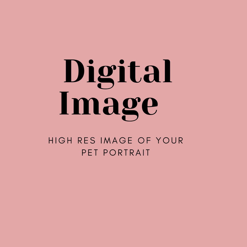 High Resolution Digital Image of your Pet Portrait