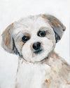 Modern Dog Portrait - Pet Art for your home by Vancouver artist Liz Clay. Original hand-painted custom dog painting.  Custom Puppy Original Painting 