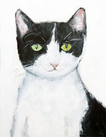 Vancouver Pet Portrait. Custom cat painting by Vancouver artist Liz Clay of Cici Art Factory. Cat Portrait Painting