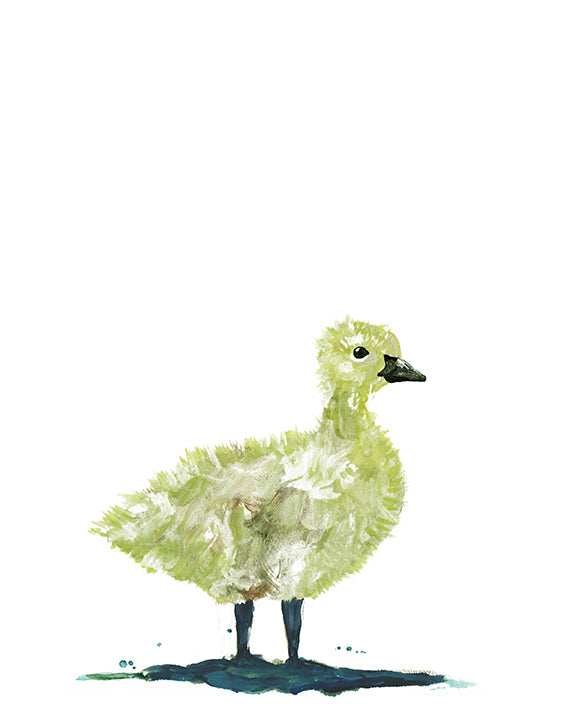 baby Canada goose art print painting cute