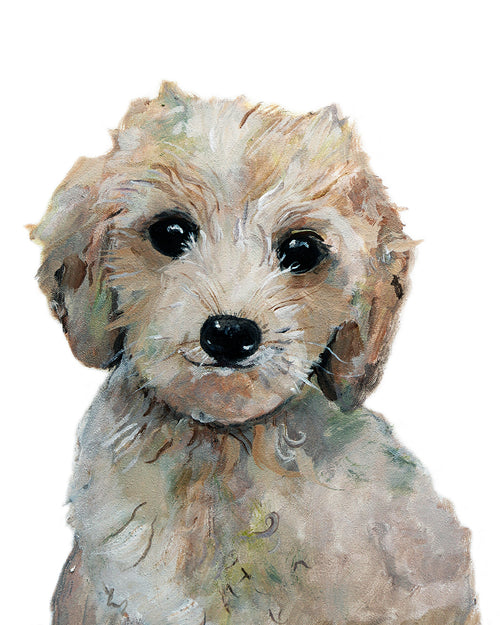 labradoodle puppy art print cute painting 