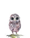 Owl woodland nursery art print 