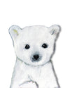 Baby Polar Bear Canadian Nursery art print 