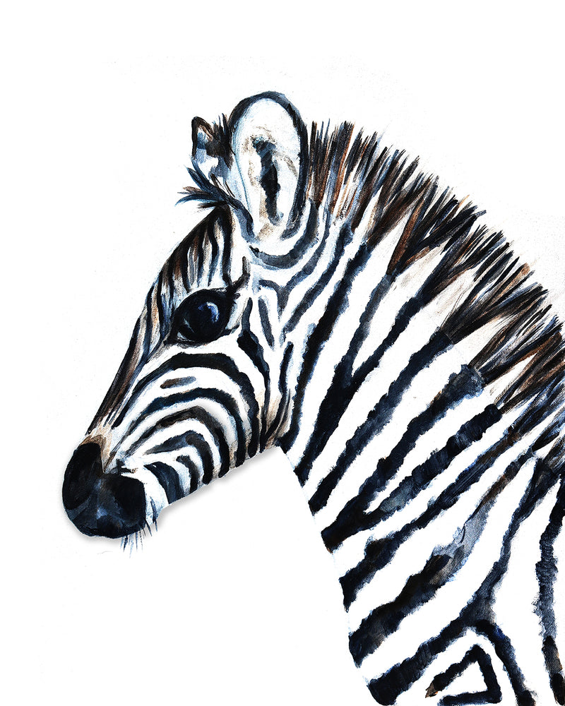 Baby Zebra Safari Nursery Art Print by Vancouver artist Liz Clay
